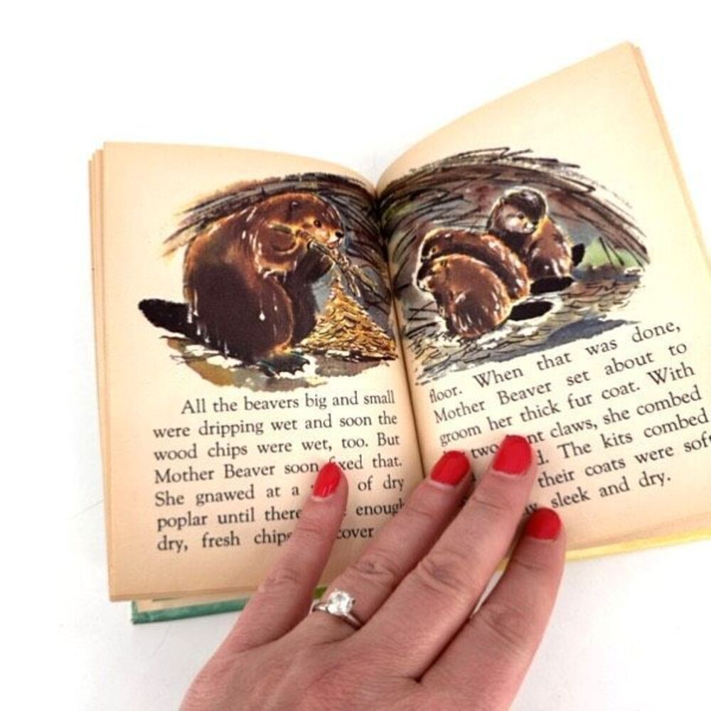 Vintage Junior Elf Book Little Beaver Nonfiction Childrens Learning Rand McNally - Picture 7 of 11